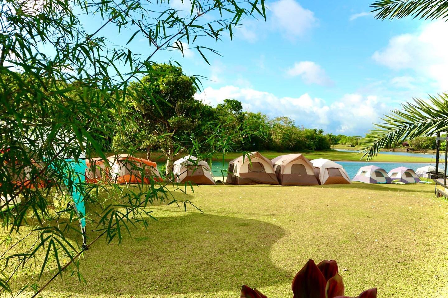 BLOC Camp Site, Laguna