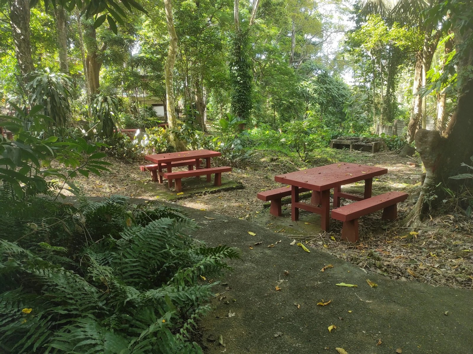 Mount Makiling Botanic Gardens, Los Baños, Laguna