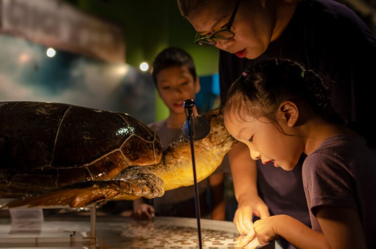A Day of Discovery: 6 Museums in Laguna Perfect for Families