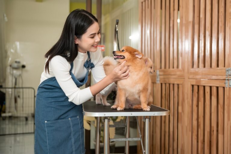 7 Pet Shops in Laguna for Your Furbaby Needs